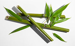 forholdsord ubehagelig Smøre Seve de Bamboo Eye Treatment 0.5 oz | Erborian US