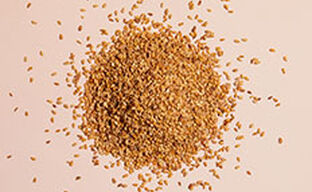 Sesame Milk